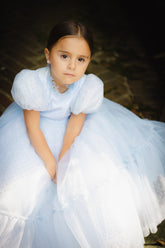 ZOE TONE ON TONE POLKA DOT RUFFLE BOTTOM TULLE GOWN